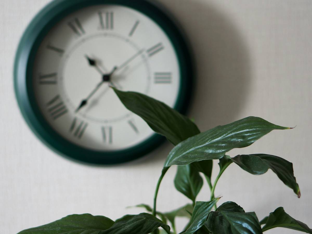 functional art wall clock design decorate showing a handcrafted wooden wall clock with roman numerals mounted on a neutral-toned living room wall